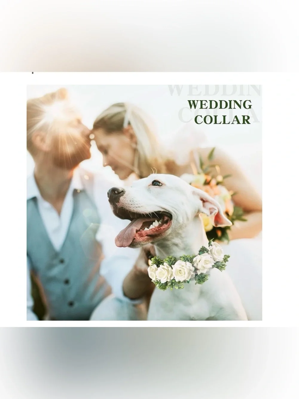 Honoson dog wedding